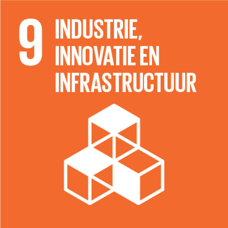 SDG 9