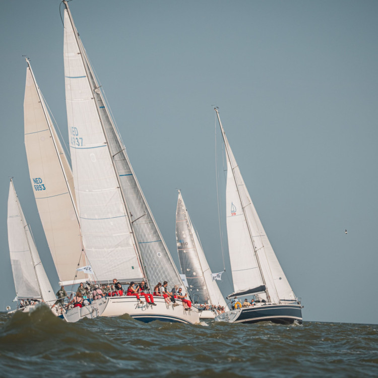 Green Buildings Regatta